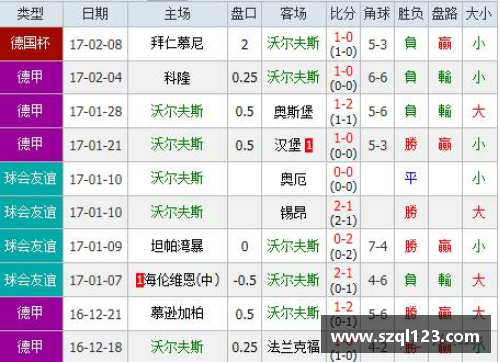 爱购彩沃尔夫斯堡主场大胜霍芬海姆，稳固积分榜位置