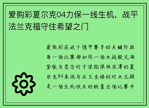 爱购彩夏尔克04力保一线生机，战平法兰克福守住希望之门
